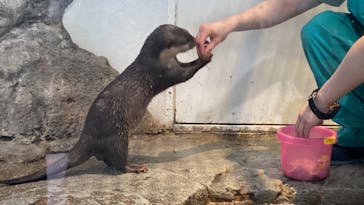 NIFREL（ニフレル）に投稿された画像（2024/5/4）