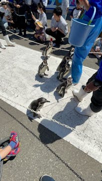 越前松島水族館に投稿された画像（2024/5/4）