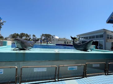 越前松島水族館に投稿された画像（2024/5/4）