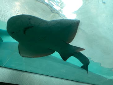 名古屋港水族館に投稿された画像（2024/5/4）