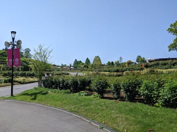 いばらきフラワーパークに投稿された画像（2024/5/4）