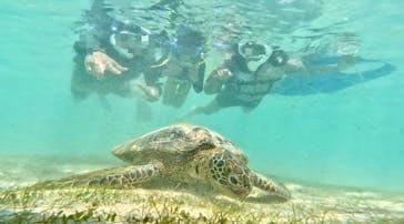 宮古島マリン GB QUESTに投稿された画像（2024/5/4）