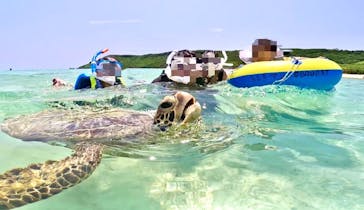 宮古島マリン GB QUESTに投稿された画像（2024/5/4）