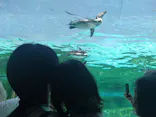 天王寺動物園に投稿された画像（2024/5/5）