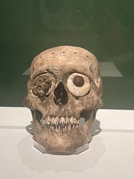 特別展「古代メキシコ ーマヤ、アステカ、テオティワカン」に投稿された画像（2024/5/4）