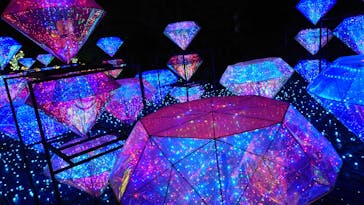 伊豆ぐらんぱる公園に投稿された画像（2024/5/4）