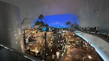 福井県立恐竜博物館に投稿された画像（2024/5/4）