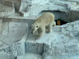 天王寺動物園に投稿された画像（2024/5/5）