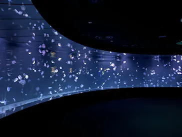 サンシャイン水族館に投稿された画像（2024/5/4）