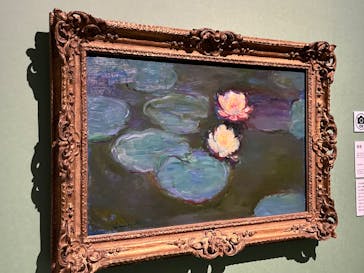 モネ　連作の情景に投稿された画像（2024/5/4）