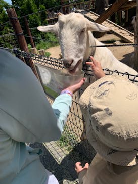 東武動物公園に投稿された画像（2024/5/4）
