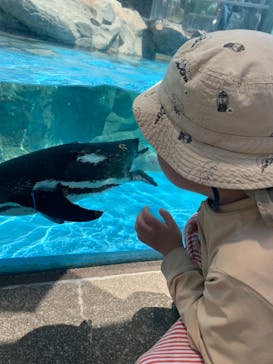 東武動物公園に投稿された画像（2024/5/4）