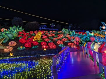 伊豆ぐらんぱる公園に投稿された画像（2024/5/4）