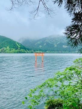 箱根芦ノ湖セグウェイツアーに投稿された画像（2024/5/5）