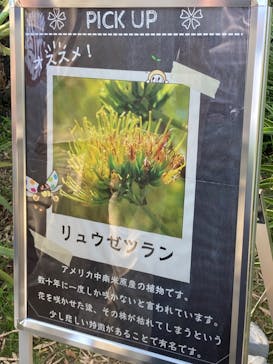 浜名湖花博2024に投稿された画像（2024/5/5）