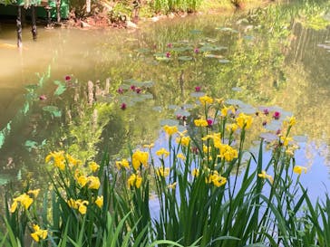 浜名湖花博2024に投稿された画像（2024/5/5）