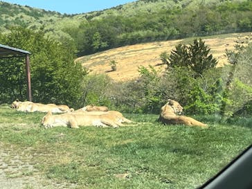 東北サファリパークに投稿された画像（2024/5/5）