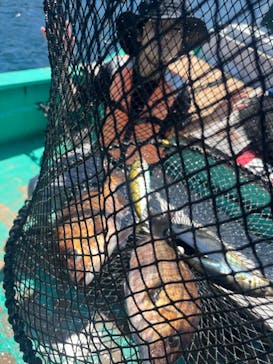 海上釣り 堀太公望に投稿された画像（2024/5/5）