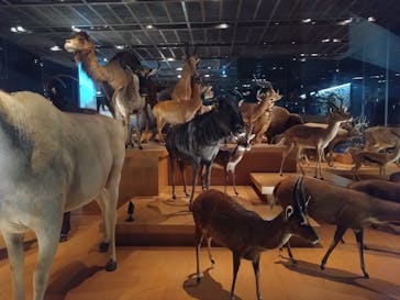 国立科学博物館に投稿された画像（2024/5/5）