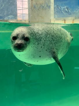 下田海中水族館に投稿された画像（2024/5/5）