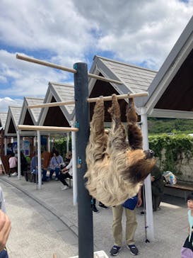 大分マリーンパレス水族館 「うみたまご」に投稿された画像（2024/5/5）