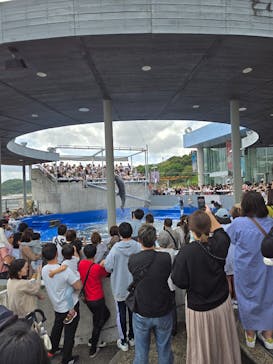大分マリーンパレス水族館 「うみたまご」に投稿された画像（2024/5/5）