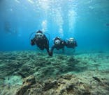 沖縄マリンサービス碧に投稿された画像（2024/5/5）