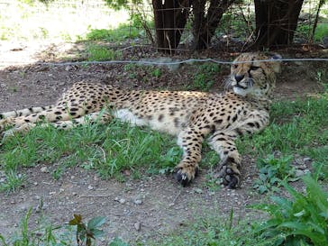 群馬サファリパークに投稿された画像（2024/5/5）