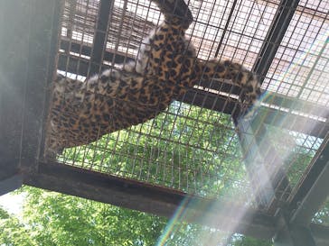 群馬サファリパークに投稿された画像（2024/5/5）