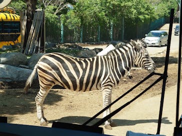 群馬サファリパークに投稿された画像（2024/5/5）