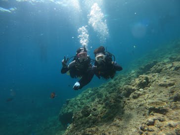 武藤潜水に投稿された画像（2024/5/5）
