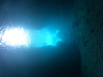 武藤潜水に投稿された画像（2024/5/5）