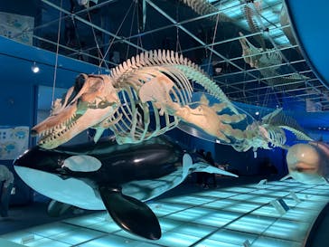 名古屋港水族館に投稿された画像（2024/5/5）