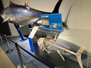 名古屋港水族館に投稿された画像（2024/5/5）