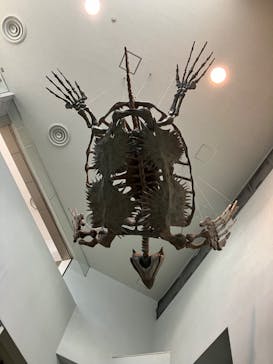 名古屋港水族館に投稿された画像（2024/5/5）