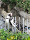 サンシャイン水族館に投稿された画像（2024/5/5）