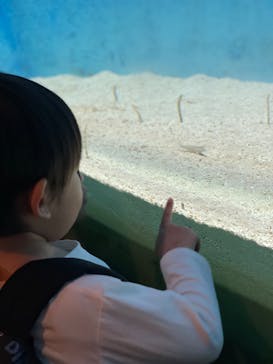大分マリーンパレス水族館 「うみたまご」に投稿された画像（2024/5/5）