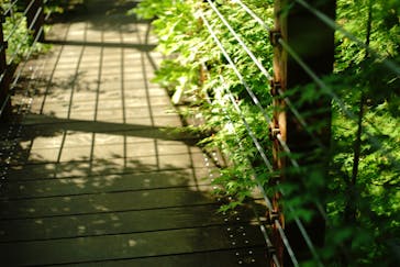 万博記念公園に投稿された画像（2024/5/5）