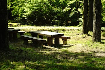 万博記念公園に投稿された画像（2024/5/5）