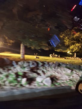 姫路セントラルパークに投稿された画像（2024/5/5）