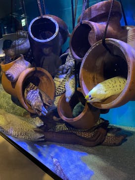 竹島水族館に投稿された画像（2024/5/5）