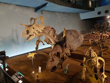 福井県立恐竜博物館に投稿された画像（2024/5/5）