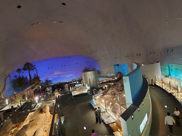 福井県立恐竜博物館に投稿された画像（2024/5/5）