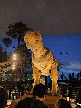 福井県立恐竜博物館に投稿された画像（2024/5/5）