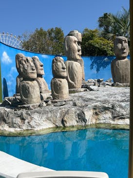 淡路ワールドパークONOKOROに投稿された画像（2024/5/5）