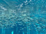 環境水族館アクアマリンふくしまに投稿された画像（2024/5/5）