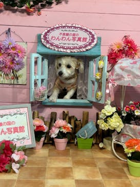 Pet博2025 幕張に投稿された画像（2024/5/5）