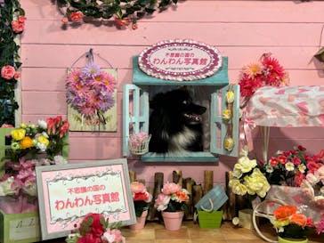 Pet博2025 幕張に投稿された画像（2024/5/5）