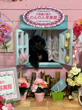 Pet博2025 幕張に投稿された画像（2024/5/5）