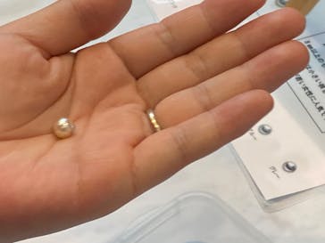 名古屋港水族館に投稿された画像（2024/5/5）